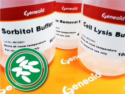 Geneaid&trade; DNA Isolation Kit (Yeast)