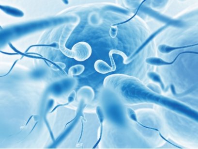 Presto&trade; Sperm DNA Extraction Kit