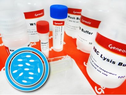 Total RNA Mini Kit (Blood/Cultured Cell) w/DNase Set