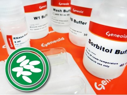 Presto&trade; Mini RNA Yeast Kit