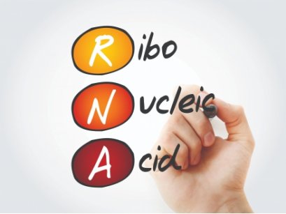 rSYNC&trade; RNA Isolation Kit w/DNase Set