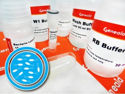 Presto™ Mini RNA Bacteria Kit