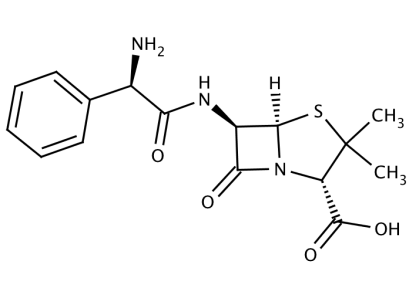 Ampicillin, anhydrous