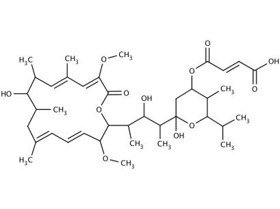 Bafilomycin C1, 1 MG