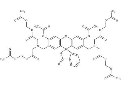 Calcein-AM, 1 MG
