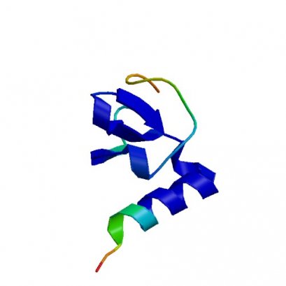 ppBp (CXCL7), Human, 10 ug