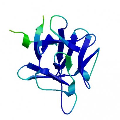 FGF10/KGF2, Rat, 5 ug