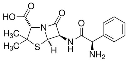Ampicillin Anhydrous
