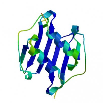 CXCL3, Murine, 10 ug