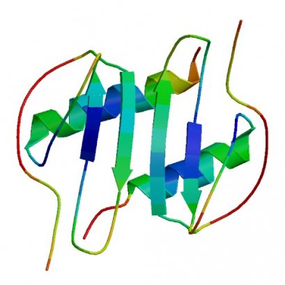 CXCL5 (70 a.a.), Murine, 5 ug