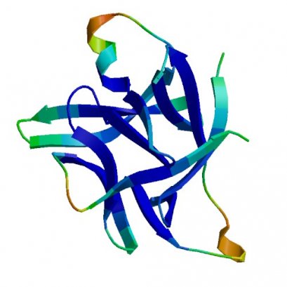 IL1RN (IL-1RA), Equine, 5 ug