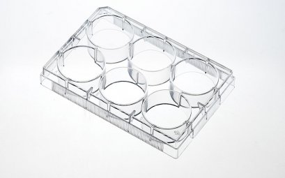 Tissue Culture plates, Standard Type, Surface-Treated (50 pcs/box)