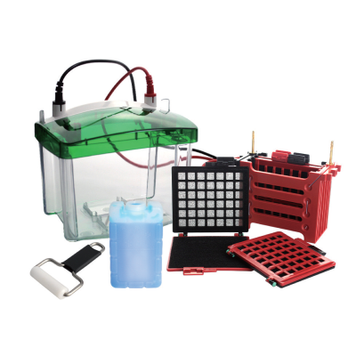 L-TRANS-N4 Mini Blotting Cell (4-gel)