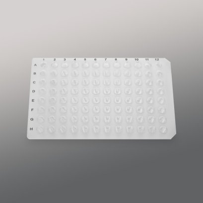 96 well PCR plate, No skirt