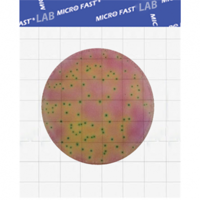 MICROFAST® LACTIC ACID BACTERIA COUNT PLATE - 25 Tests