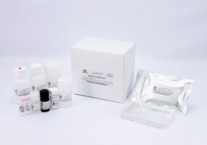 Hazelnut ELISA KitⅡ