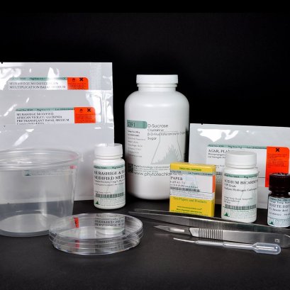 African Violet Multiplication Kit