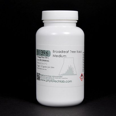 Broadleaf Tree Basal Medium