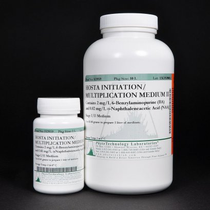 Hosta Initiation/Multiplication Medium II