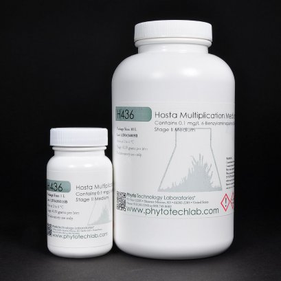 Hosta Multiplication Medium