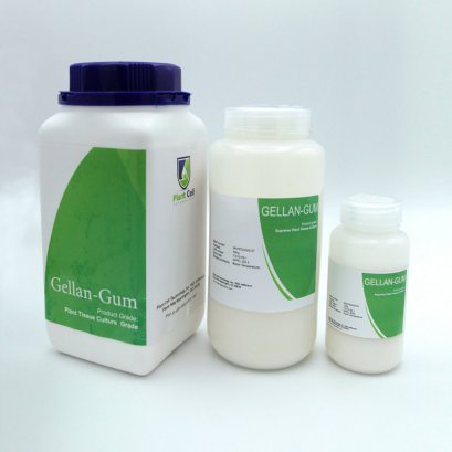 Gellan Gum