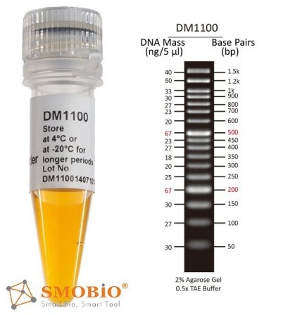 ExcelBand™ 50 bp DNA Ladder, 500 μl