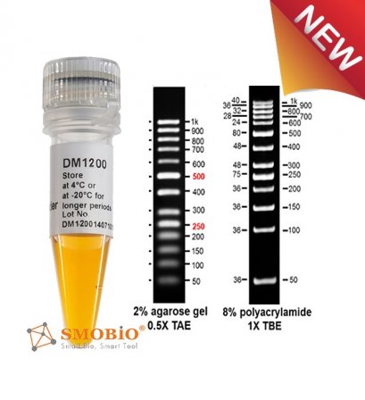AccuBand™ 50 bp DNA Ladder II, 500 μl