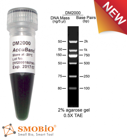 AccuBand&trade; 100 bp DNA Marker II, 500 &mu;l