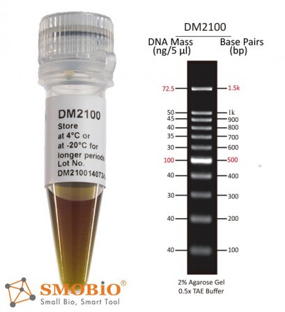 ExcelBand&trade; 100 bp DNA Ladder, 500 &mu;l  (Buy 5 get 1 free, buy 10 get 3 free)
