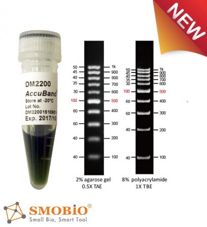 AccuBand&trade; 100 bp DNA Ladder II, 500 &mu;l
