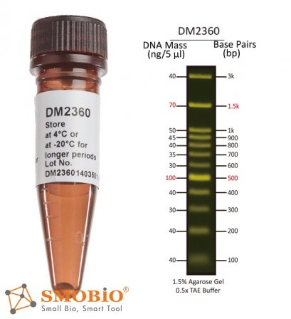 FluoroBand™ 100 bp+3K Fluorescent DNA Ladder, 500 μl