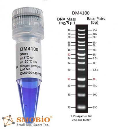 ExcelBand&trade; XL 25 kb DNA Ladder, Broad Range (up to 25 kb), 500 &mu;l