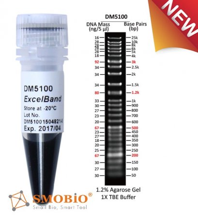 ExcelBand™ Super Range DNA Ladder (50 bp-25 kb), 500 μl