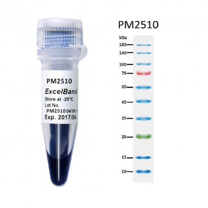 ExcelBand&trade; Enhanced 3-color Regular Range Protein Marker (9-180 kDa), 250 &mu;l x 2