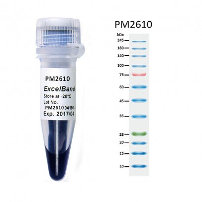 ExcelBand&trade; Enhanced 3-color High Range Protein Marker (9-245 kDa), 250 &mu;l x 2