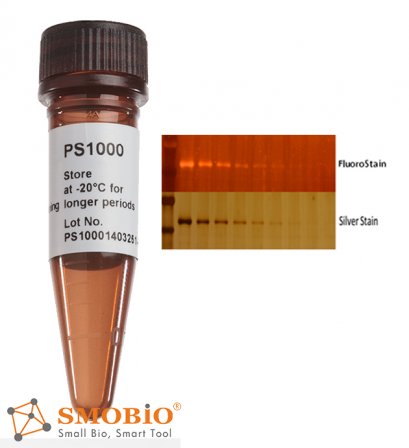 FluoroStain&trade; Protein Fluorescent Staining Dye (Red, 1,000X), 1 ml