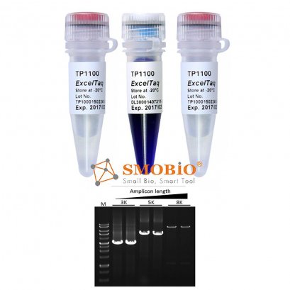 ExcelTaq™ 5X PCR Master Mix, 200 RXN (Buy 10 get 2 Free)