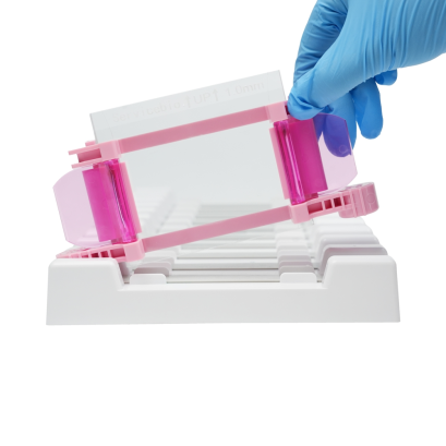 High-Throughput Gel Casting Stand