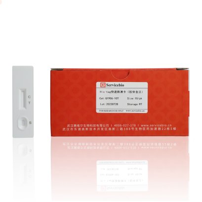 His-tag Rapid Assay (Colloidal Gold), 10 T