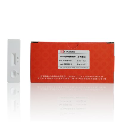 HA-tag Rapid Assay (Colloidal Gold), 10 T