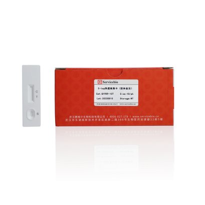 His-tag Rapid Assay (Colloidal Gold), 10 T