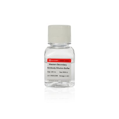 Western Secondary Antibody Dilution Buffer, 100 mL