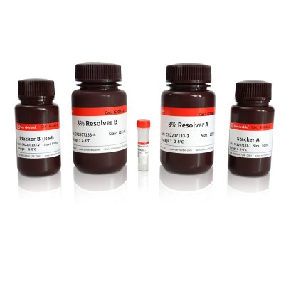 8% SDS-PAGE colored (red) gel ultra-fast preparation kit, 50 T