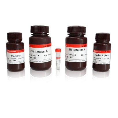 12% SDS-PAGE colored (red) gel ultra-fast preparation kit, 50 T