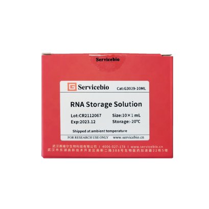 RNA Storage Solution