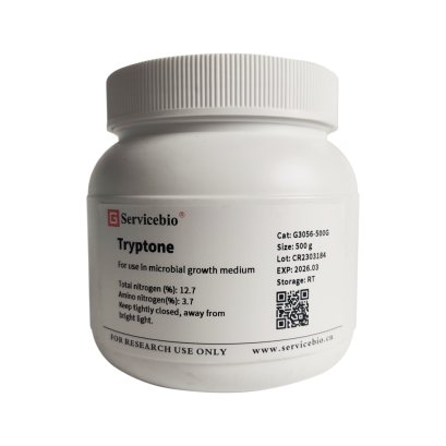 Tryptone, 500 g (for Molecular cloning medium)