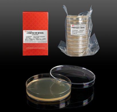 LB Agar Plate (Ampicillin + Kanamycin Resistance), 10 plates (for Molecular cloning medium)