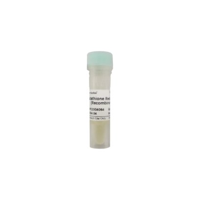 Glutathione Reductase (Recombinant), 500 μL (for Industrial raw protein/enzyme)