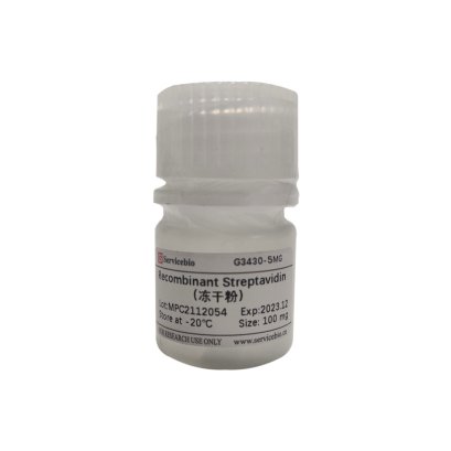 Recombinant Streptavidin (freeze-dry powder)