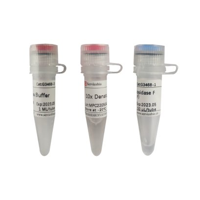 Peptide-N-Glycosidase F (PNGase F), 25000 U (for Sugar science related tools enzymes)